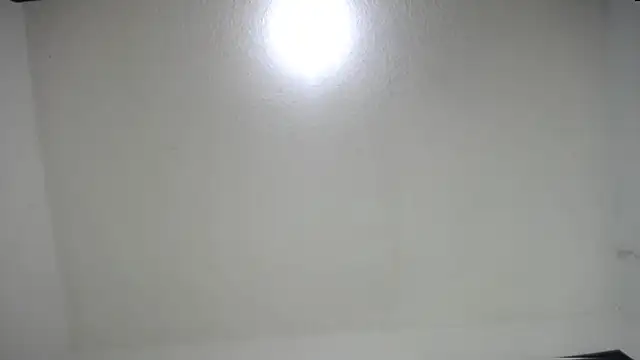 Fox_Loves