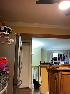 LittleMissEeve live cam