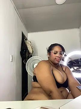 NV-Nikoll webcam