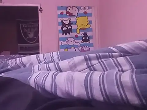 Blkstylion webcam