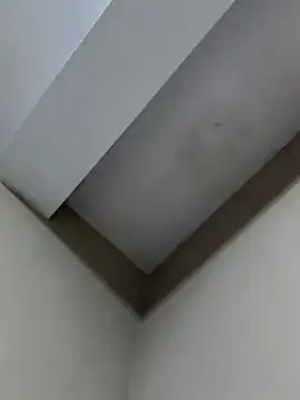 Kasandra02 webcam