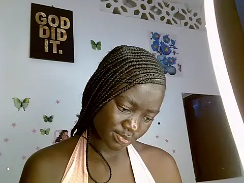 masindit webcam