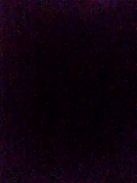Steevengjgftkjhtek webcam