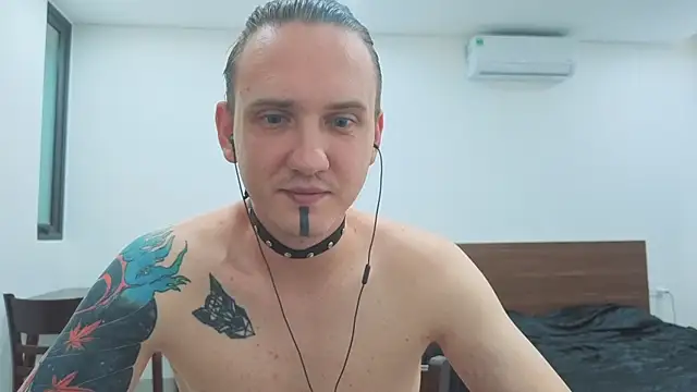 Silent_Stitch webcam