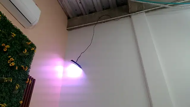 paola20atletic webcam
