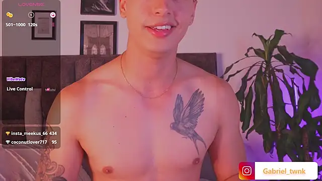 I_Gabriel webcam