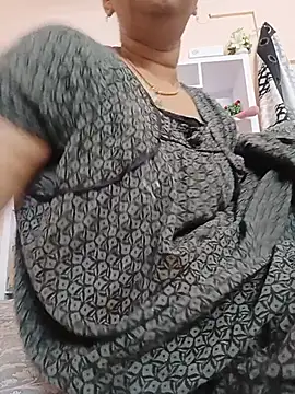 Hansikatelugu webcam