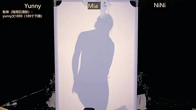 MiNi-U webcam