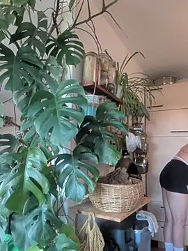 Sissy_LiaXXX webcam