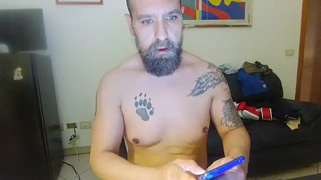 AMIRDIB2025 webcam