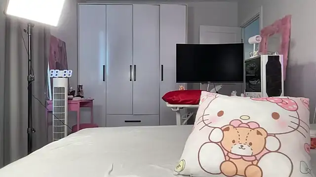 webcat webcam