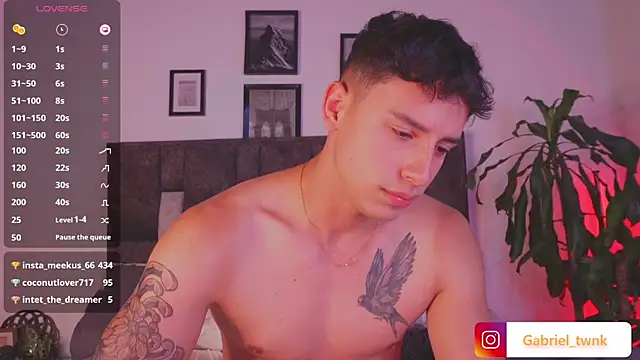 I_Gabriel webcam