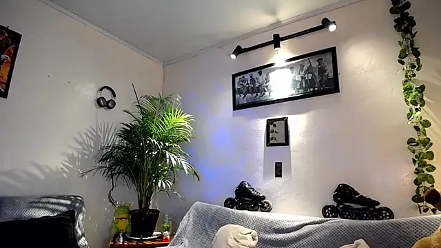 tiancam webcam