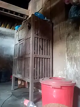 phuongtrinh1 webcam