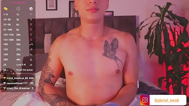 I_Gabriel webcam