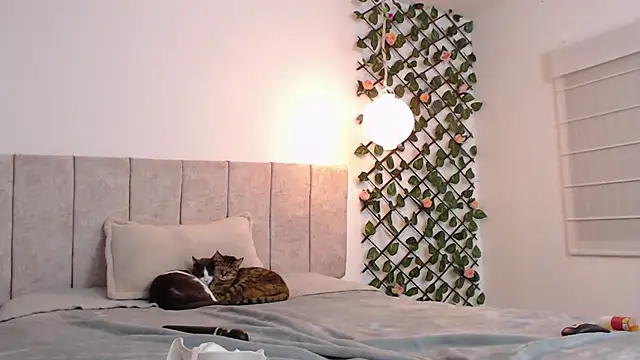 Lucyanajoi