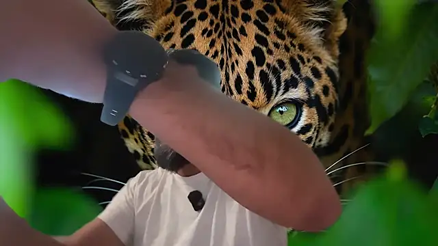 TARKAN1 webcam