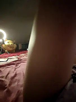 -Tara-a webcam