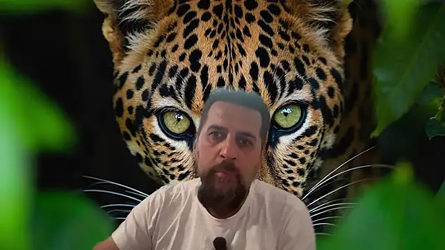 TARKAN1 webcam