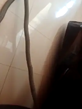 Ranibhabhi96 webcam