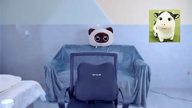 YangYang-Ya webcam