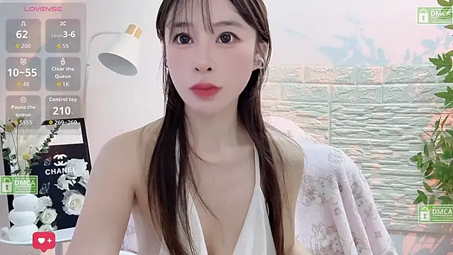 Yoyo_520 webcam