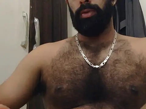 indianhairybull webcam