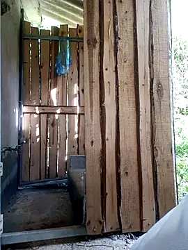 congchua977 webcam