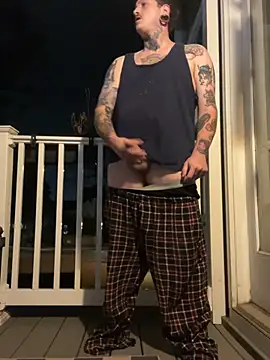 Damntodder webcam
