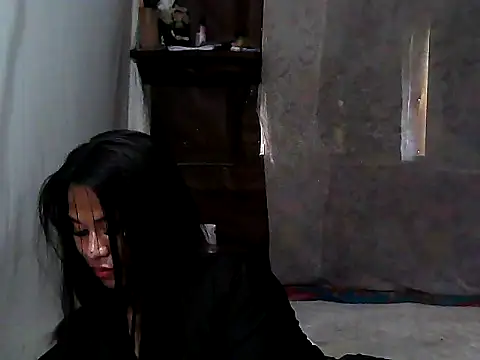 simplytrans webcam