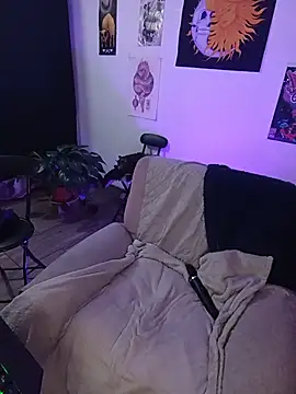 Raventh_ webcam