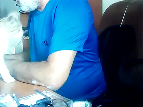 zormen355 webcam