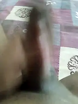 desi_pb02 webcam