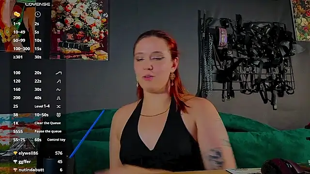 Serve_to_Alexa webcam