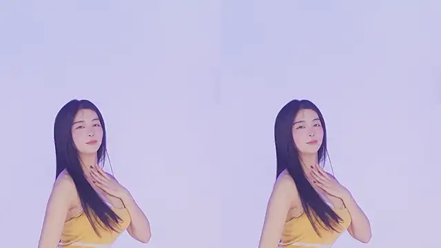 SSF-888 webcam