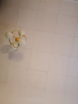 cleanBandzio webcam