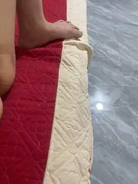 vietAnhzip