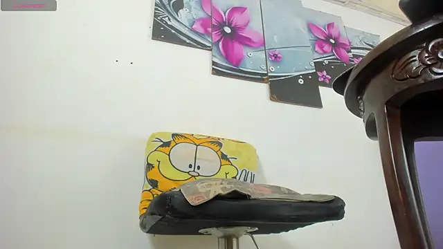 baiolethX webcam