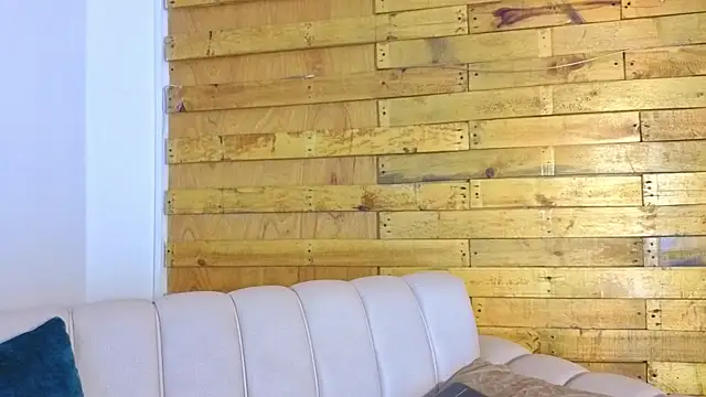 pixy_20 webcam
