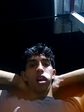 Noscay webcam