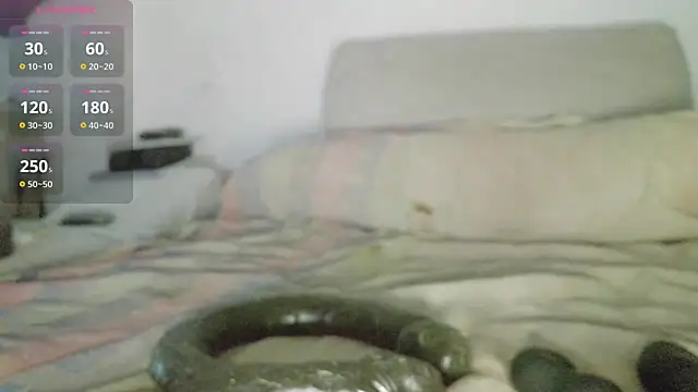 canarito18 webcam