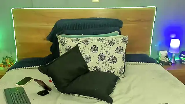 Prometeo-grizzly webcam