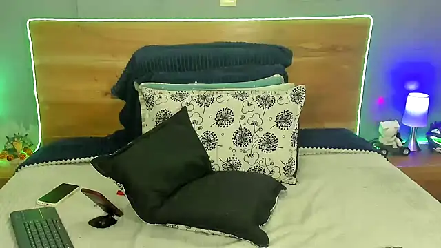 Prometeo-grizzly webcam