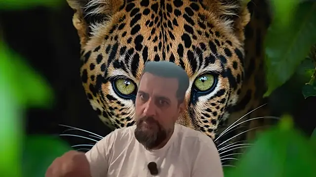 TARKAN1 webcam