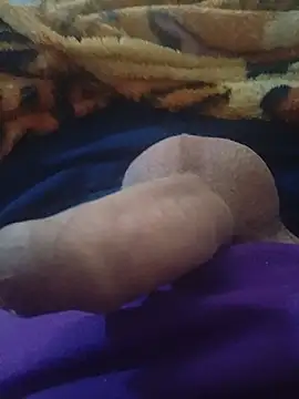 bochiloco2 webcam