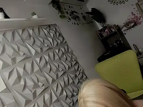 janecomander webcam
