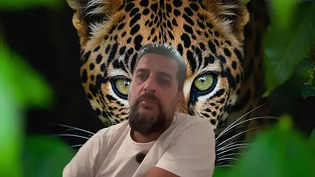 TARKAN1 webcam