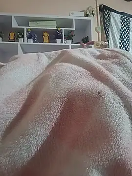 Hansikatelugu webcam