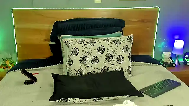 Prometeo-grizzly webcam