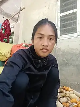 Hoa-tuylip
